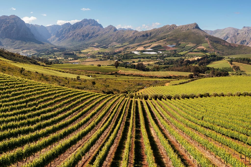 Stellenbosch: meer dan één streek in één naam